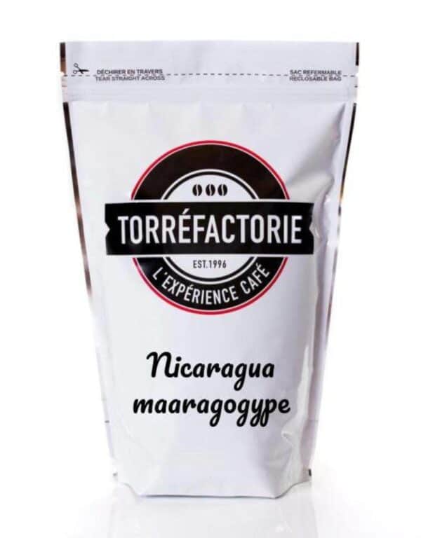 Cafe-nicaragua-maragogype