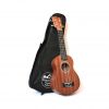 twisted-wood-pi-100-s-ukulele-soprano-avec-etui
