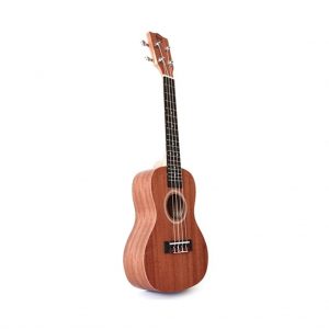 twisted-wood-pi-100t-ukulele-sopranoeavec-etui